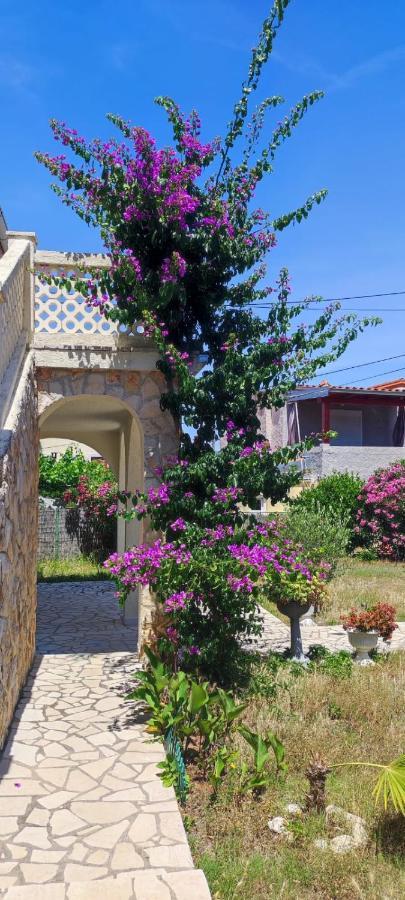 Villa Kadinela, 200M From Kamenjak, Huge Quiet Garden With Barbecue, 2 New Kitchens Premantura Kültér fotó